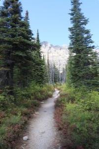 Hiking up to Ptarmigan Lake